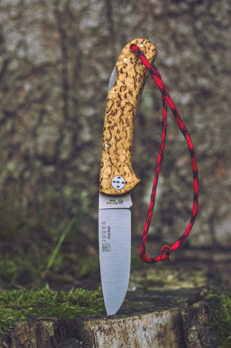 Joker cocker curly birch - cocker,