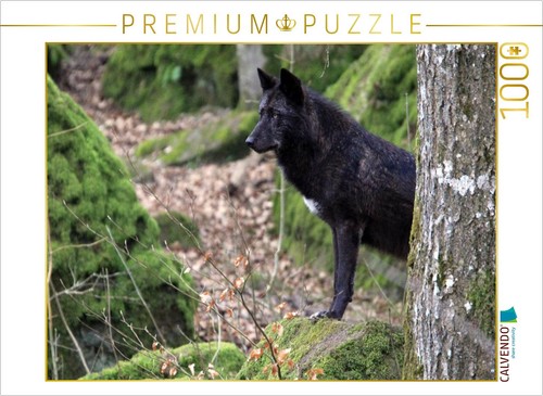 Calvendo puzzle wolf - puzzle,