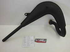 Giannelli Sport Auspuff