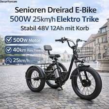 Senioren E-Dreirad E-trike