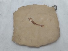 Aus einer Auflösung: tolles