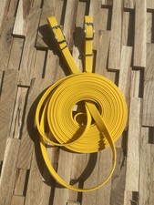 Shetty Fahrleine Kutsche Sulky