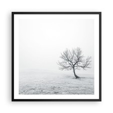 Wandbilder 60x60cm Poster Baum