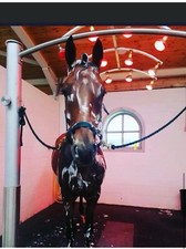 12 Lampen Solarium Silver Shadow Pferdesolarium inklusive kostenloser Lieferung