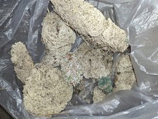 Trockenmoos für Modellbau, Dioramabau oder für Landschaftsgestaltung