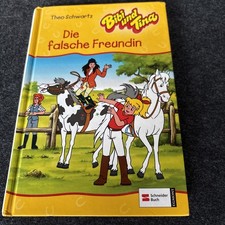 Schneider Buch - Bibi und Tina