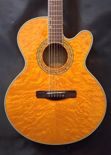 Samick greg bennett design - greg,
