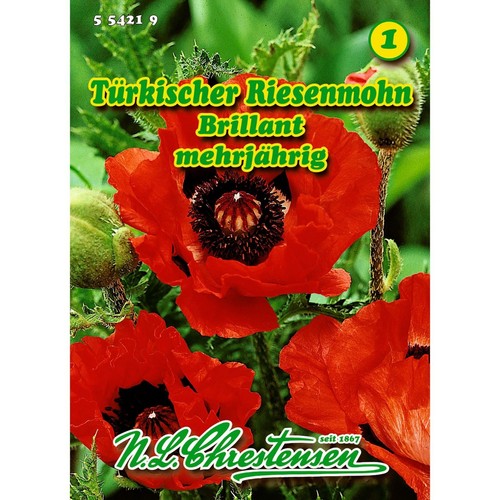 Türkischer riesenmohn - türkischer,