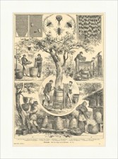 Bienenzucht H. Kwiatowski Tiere Imkerei Honig Waben Tiere Baum Holzstich E 8460