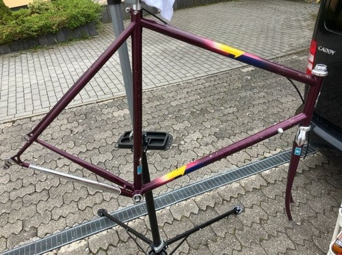 Pinarello treviso italia - treviso,