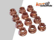 Krümmer Auspuff Muttern