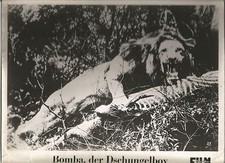 AF Bomba, der Dschungelboy