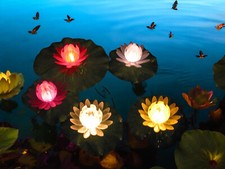 Garten-Teich-Dekoration-Leuchte-Lampe SEEROSEN 5x schwimmende Blüten beleuchtet