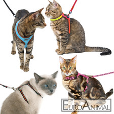 Katzengeschirr Geschirr