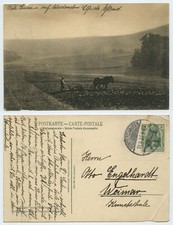 119616 - Bauer mit Pferdepflug