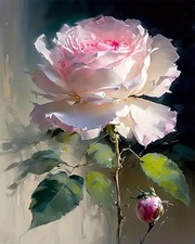 Rose Malen Nach Zahlen
