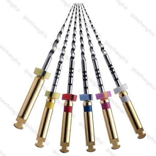 6pcs dental root - dental,