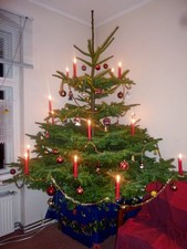 24 Kerzenhalter für Weihnachtsbaum,  zum einschrauben in Stamm