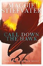 Call Down the Hawk von Maggie Stiefvater | Buch | Zustand sehr gut