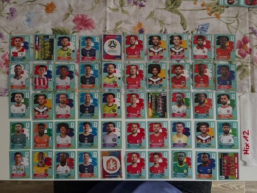 Panini fifa world cup - panini,
