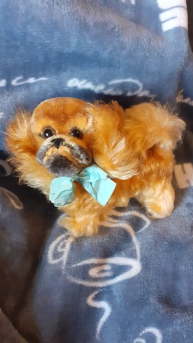Pekinese peky von steiff mit - von, (mit