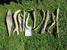 10 große Schwemmholz