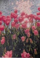 Fertig Blumen WIldflower Szene