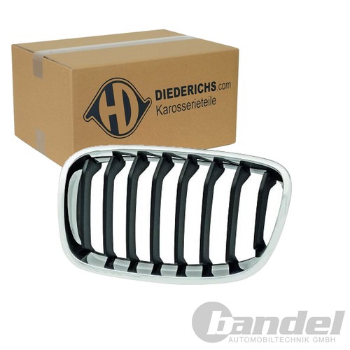 Diederichs kühlergrill niere - diederichs,