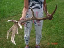 Abwurfstange 2,7kg,8