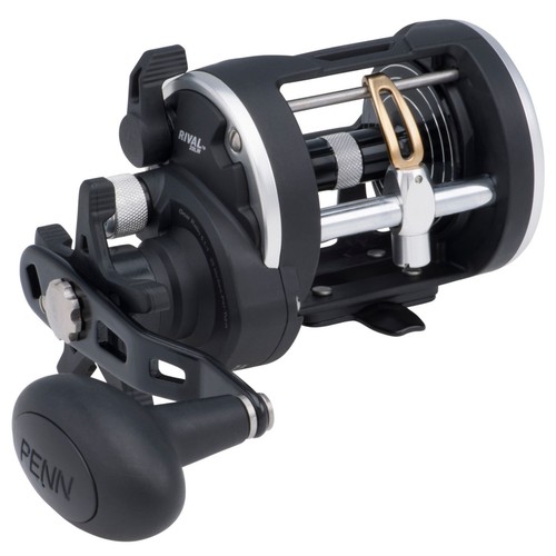 Penn rival level wind reel - penn,