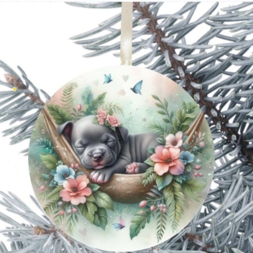 Staffordshire bull terrier - bull,