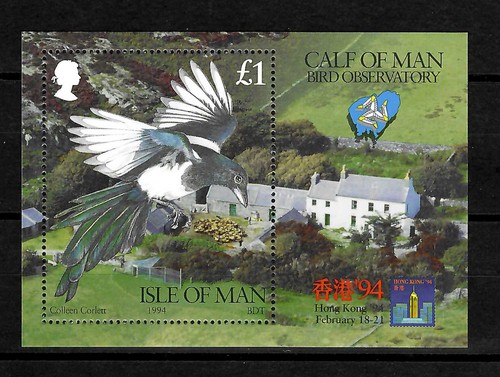 Isle man ornithologisches - isle, man: