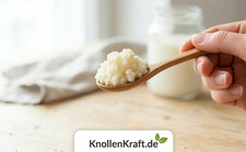 Milchkefir Knollen 5g –