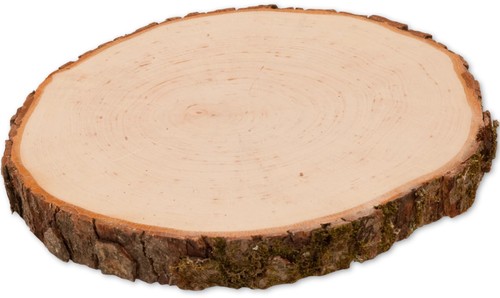 Rindenbrett baumscheibe - rindenbrett,