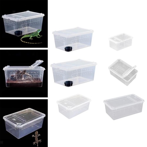 Futterbox für reptilien - für,