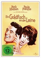 Ein Goldfisch an der Leine