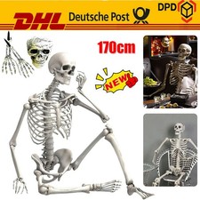 170CM Skelett Lebensgroß