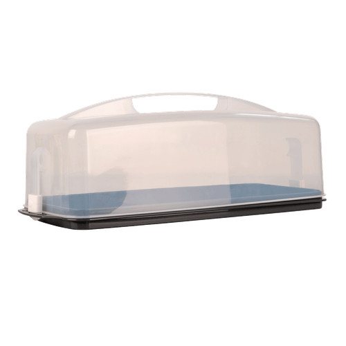 Kuchentransportbox eurohome - kuchentransportbox,