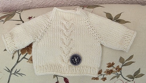 Pullover für teddybär - pullover,