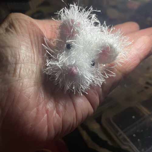 Kleine weiße hippie - kleine, hippie-maus