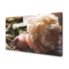 Leinwand-Bilder Pflanzen Botanik Pfingstrose Größe 40x30-120x80 cm