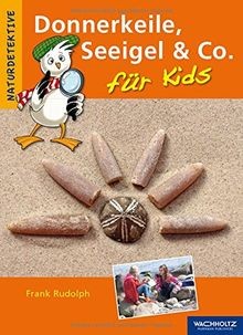 Donnerkeile seeigel für - donnerkeile,, co.