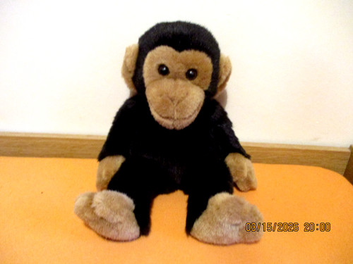 Unser charly affe schimpanse - unser,