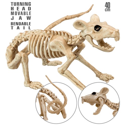 Halloween deko skelett - halloween, ratte