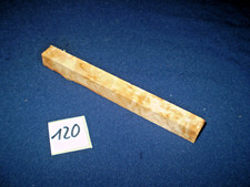 Karelische Maserbirke