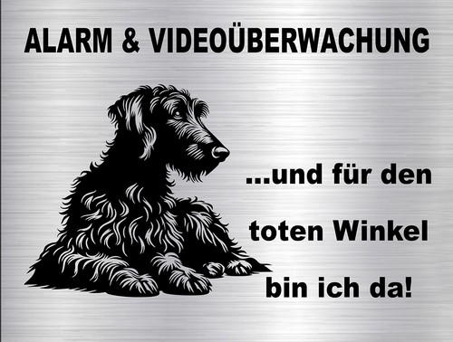 Deerhound windhund - deerhound,