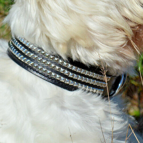 Nieten leder halsband - nieten, schwarz