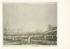 Postkarte - International