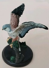 Sammlervogel turmfalke unsere - sammlervogel,