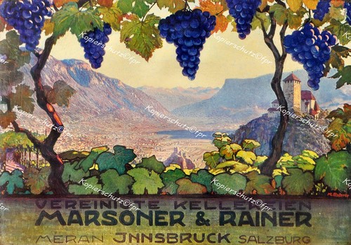 Plakat südtirol wein - plakat, kellerei